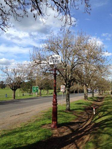 Daylesford Avenue of Honour : 15-09-2013