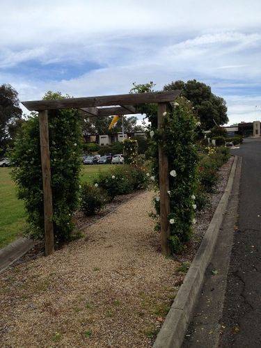 Memorial Hospital Garden :October 2013