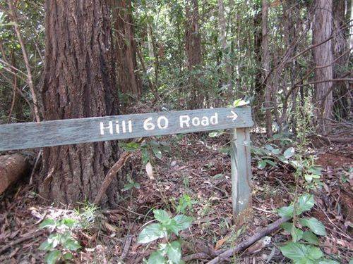 Hill 60 Road Sign Benarkin Forest : 26-03-2012