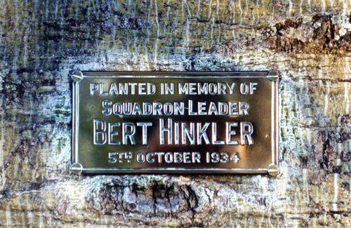 Bert Hinkler Tree Plaque : June 2003