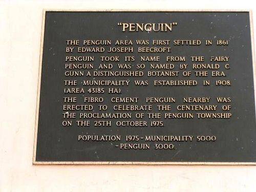 Big Penguin
