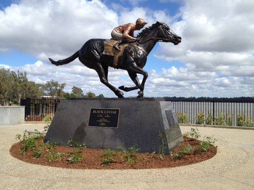 Black Caviar 10 : October 2013