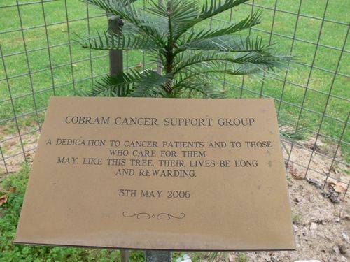 Cancer Patients and Carers : 12-May-2013