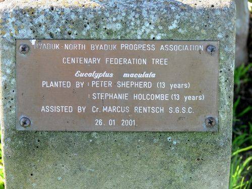 Centenary Federation Tree : 23-August-2011