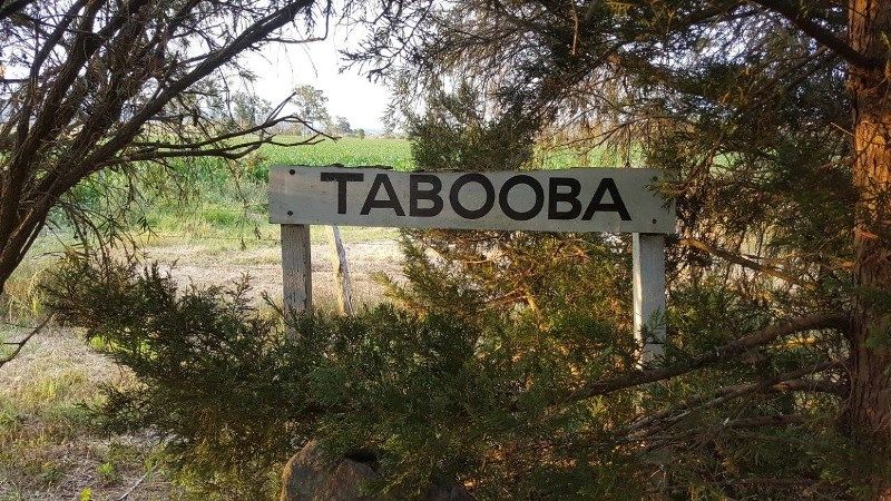 Tabooba sign: 23-October-2016