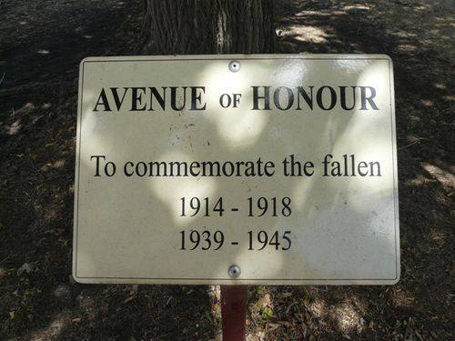 Coulstone Street Avenue of Honour : 17-February-2012