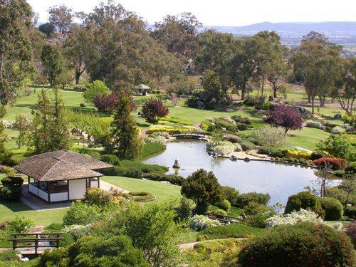 Japanese Gardens 4 : 5-October -2007