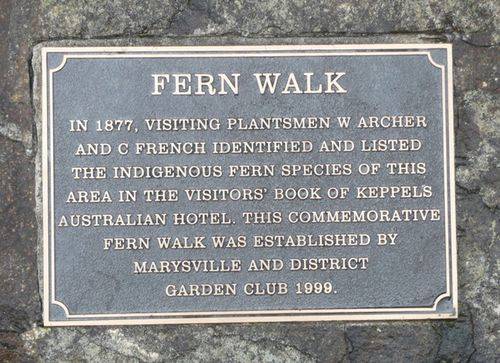 Fern Walk : 14-June-2013