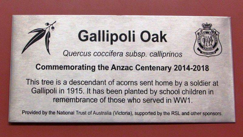 Gallipoli Oak Plaque: 28-February-2017