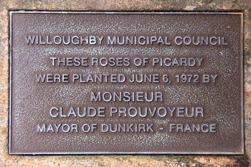 Roses of Picardy Plaque : 24-January-2016