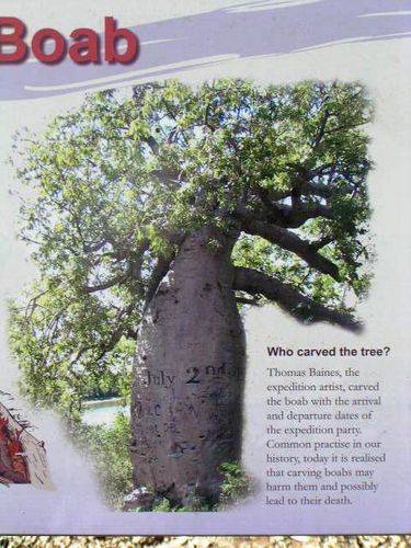 Gregorys Tree Reserve Information Plaque 7