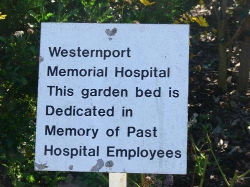 Hospital Employees Garden : 09-June-2012