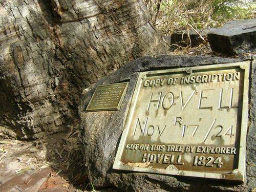 Hovell Tree Plaques : 16-08-2012