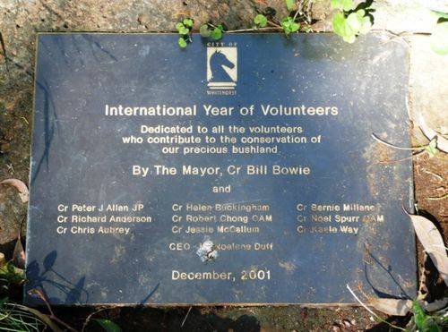 International Year of Volunteers : 29-November-2011