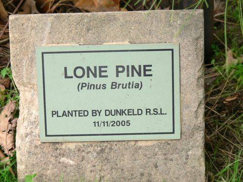 Lone Pine : 11-May-2013