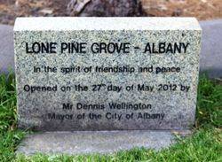 Lone Pine Grove 