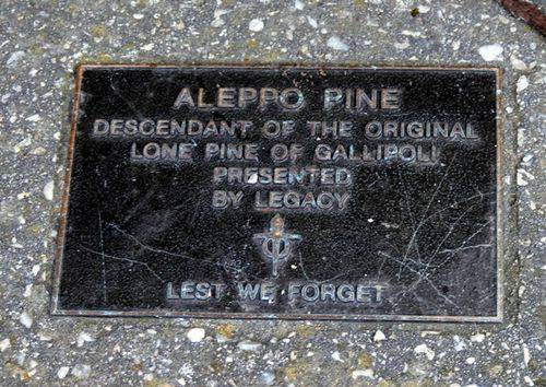 Lone Pine Memorial : 27-November-2011