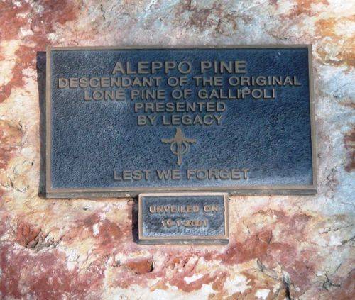 Lone Pine Memorial : 21-July-2012