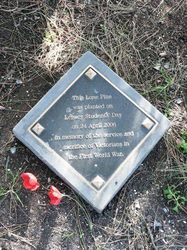 Lone Pine Memorial : 16-September-2012
