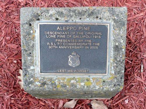 Lone Pine Memorial : 02-December-2012