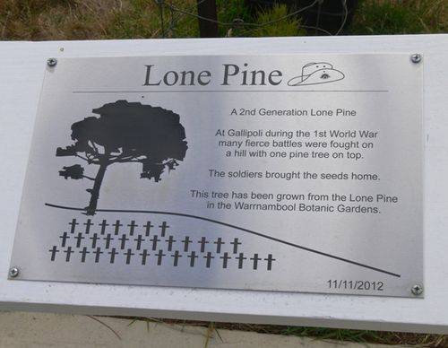 Lone Pine Memorial : 20-January-2013