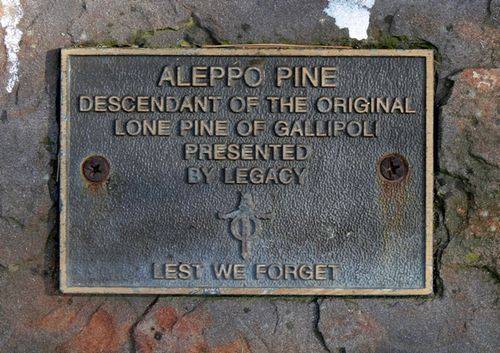 Lone Pine Memorial : 09-March-2013