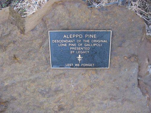 Lone Pine Plaque : 19-05-2009