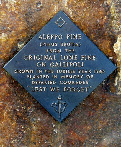 Lone Pine Memorial : 11-August-2011