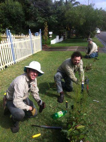 Planting endemic native species