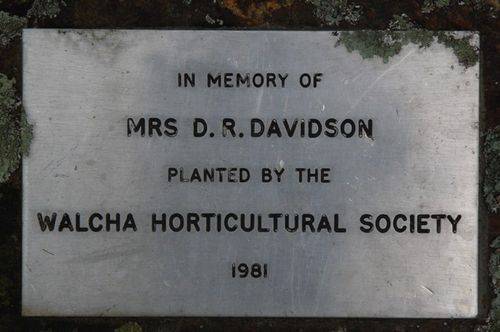 Davidson Plaque : July 2014