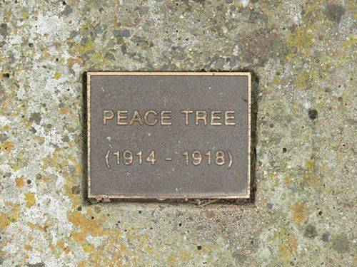 Peace Tree : 31-October-2011