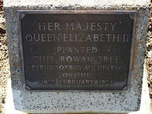 Queen Elizabeth Park : 02-December-2012