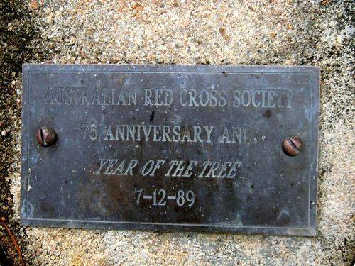 Red Cross + Year of the Tree Plaque