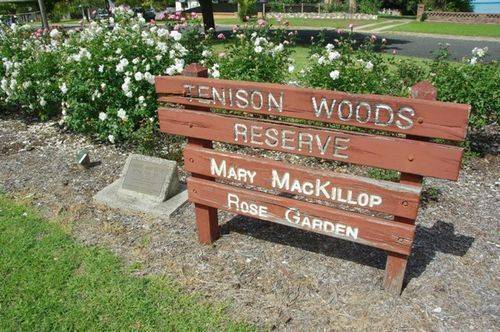 Mary MacKillop Rose Garden : June 2014