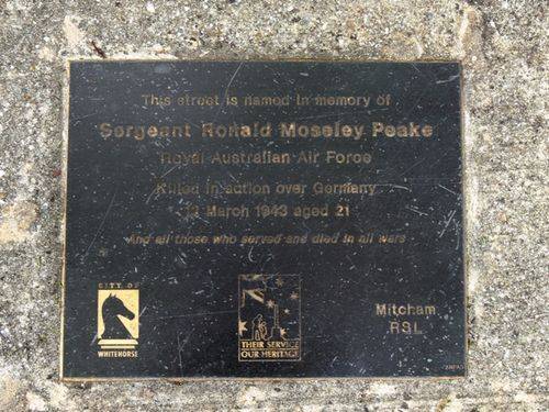 Sergeant Ronald Moseley Peake : 28-November-2011