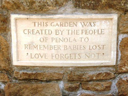 The Babies Garden : 01-December-2012