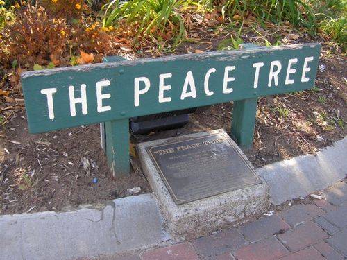 The Peace Tree 2 : 02-August-2014