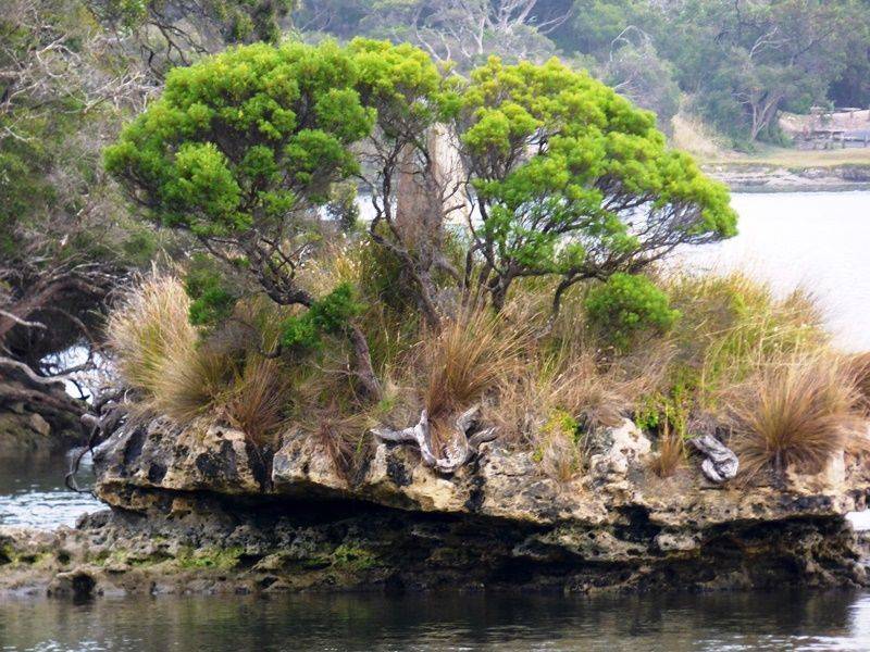 Thomas Mitchell Reserve - Upper Murray