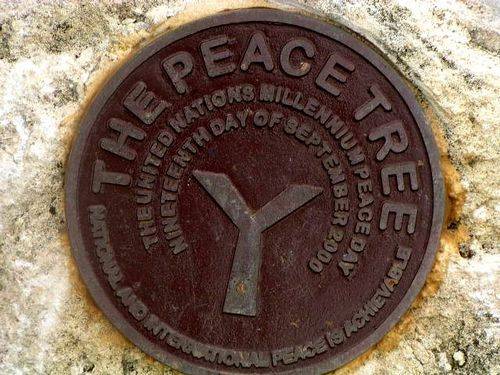 Walpole Peace Tree Inscription