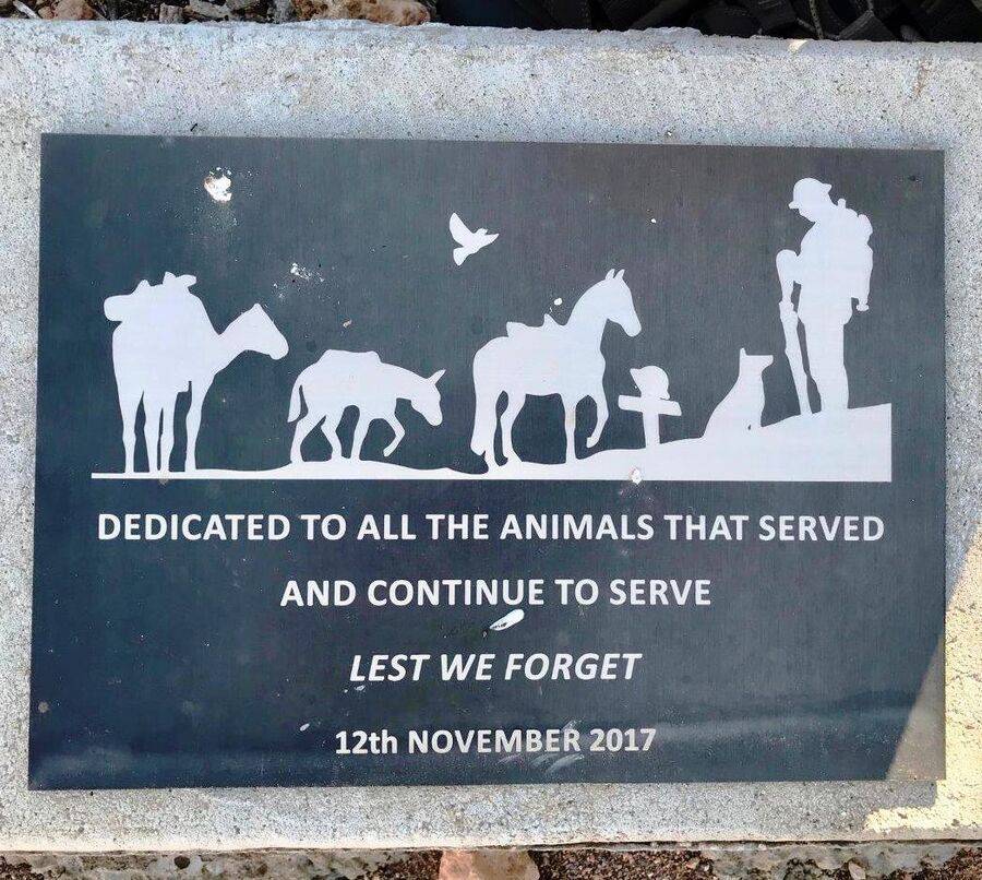 War Animals Memorial | Monument Australia
