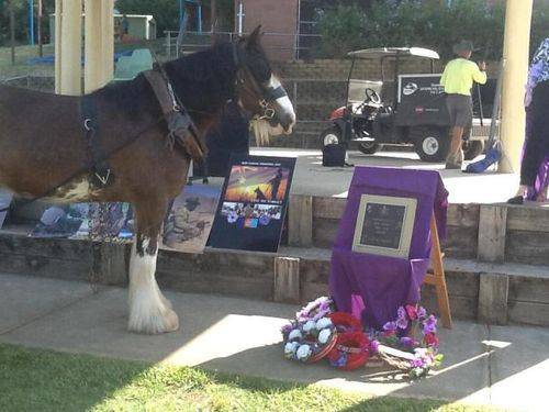 War Animals Plaque Unveiling : 31-10-2013