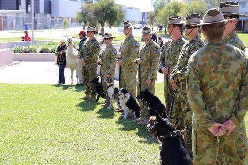 War Dogs Dedication Ceremony : 04-05-2014