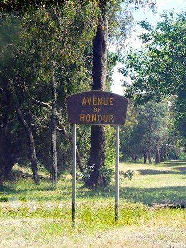 Woodend Avenue of Honour