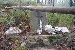 Avro Anson Aeroplane Crash : 10-June-2013