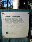Bert Hinkler Tree Plaque : 27-05-2012