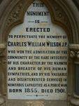 Charles William Wilson