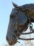 Katherine Icon Horse Closeup