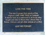 Lone Pine : 25-November-2011