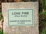 Lone Pine : 11-May-2013