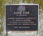 Lone Pine Memorial : 03-November-2011
